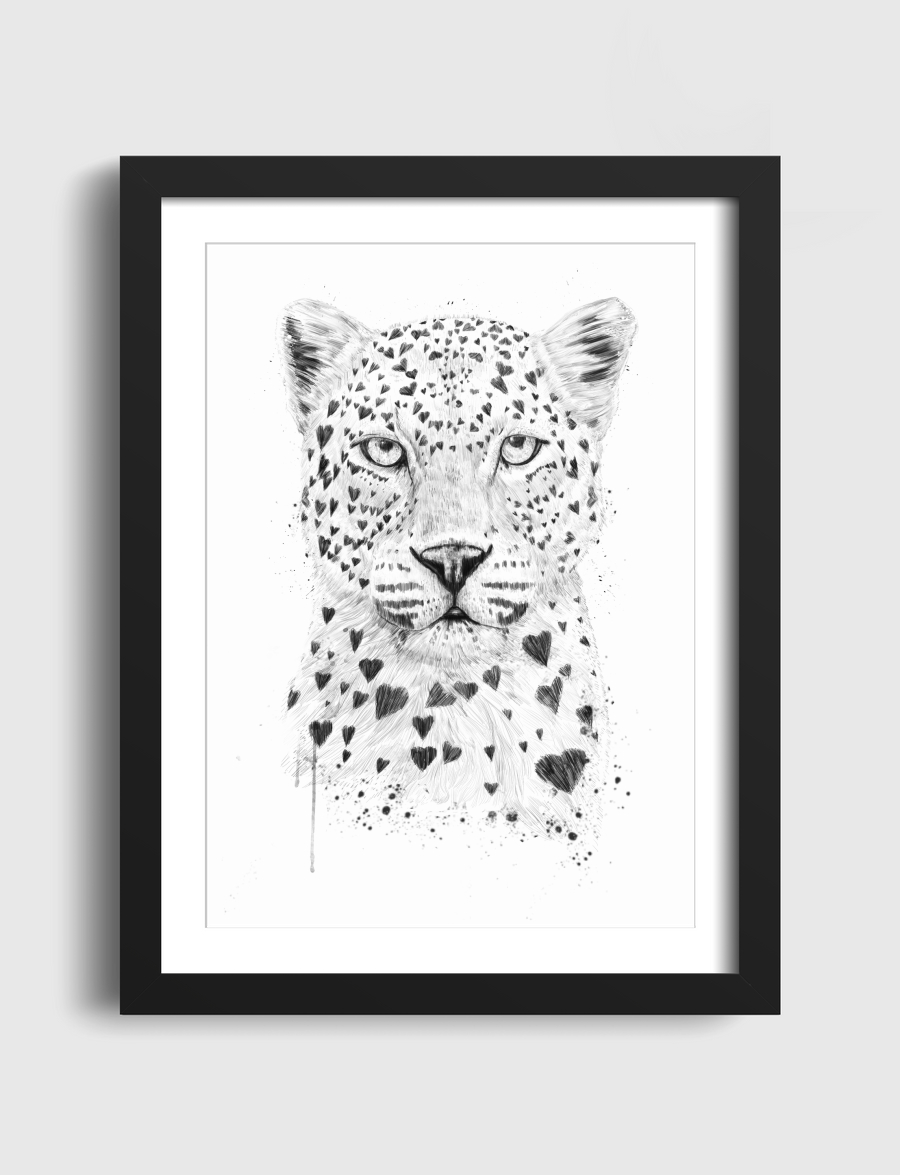 Lovely leopard