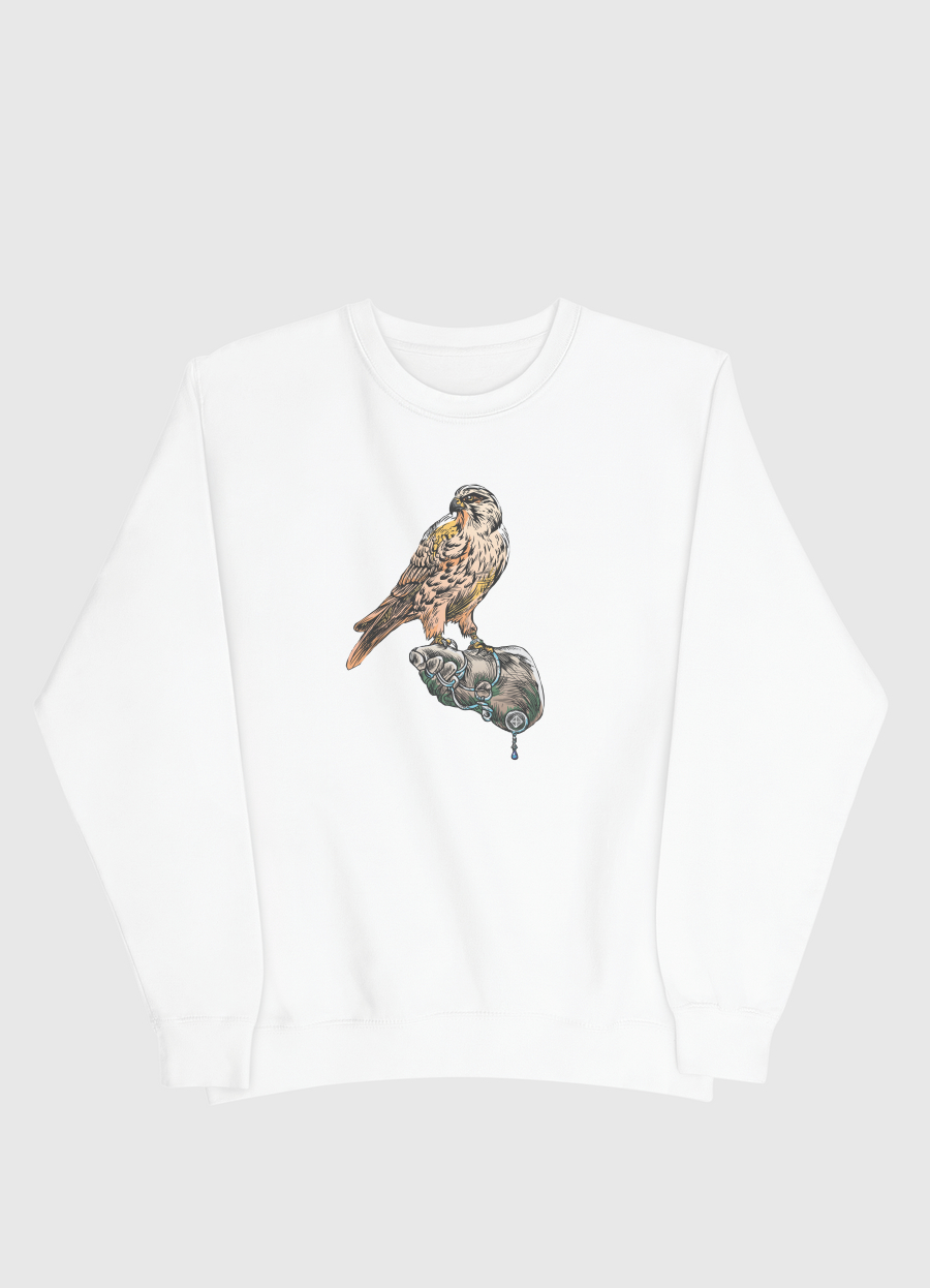 Arabian Falcon