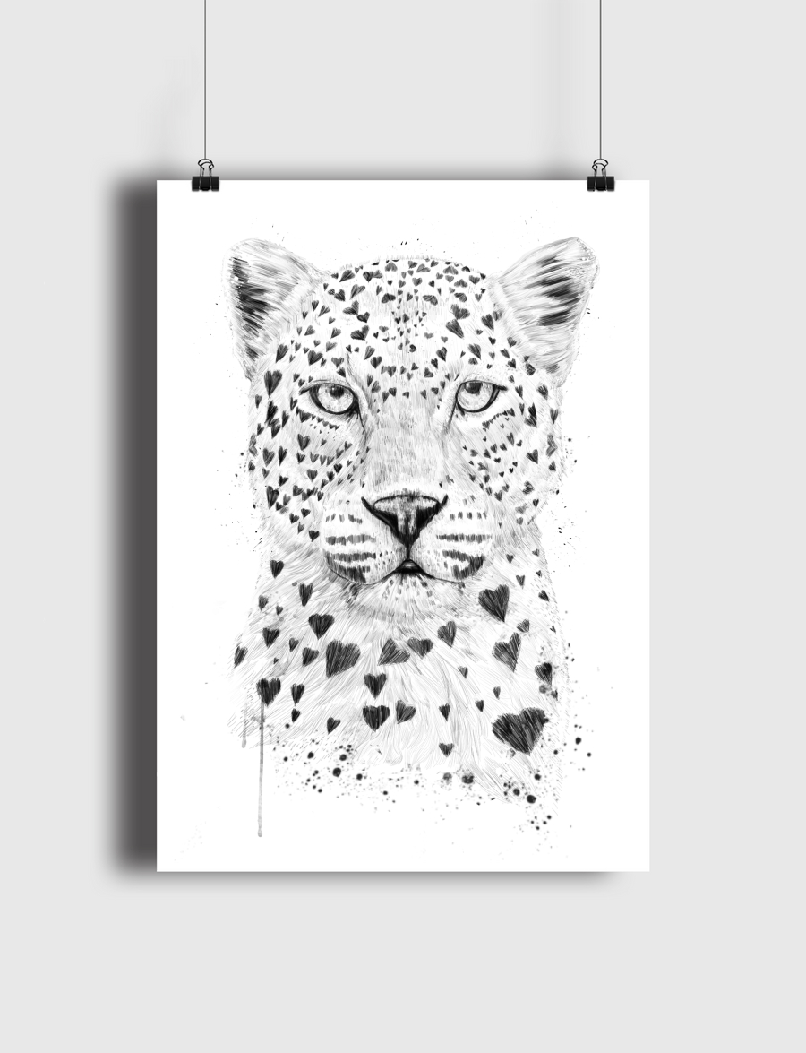 Lovely leopard