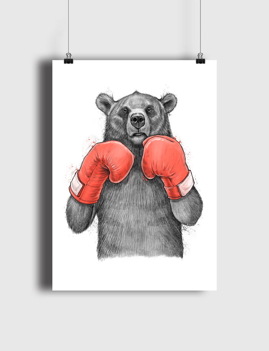 Bear Boxer