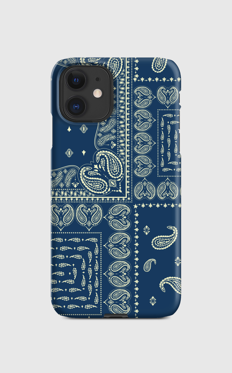 Paisley V2