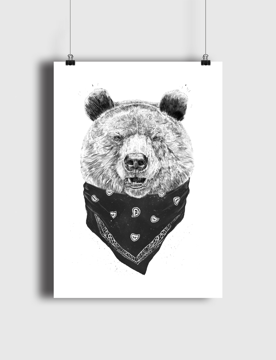 Wild bear