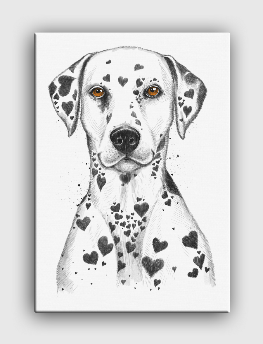 Dalmatian