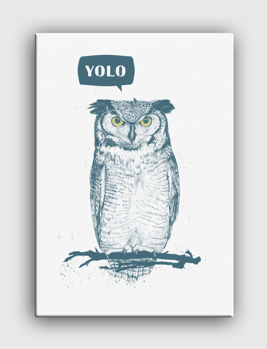 Yolo