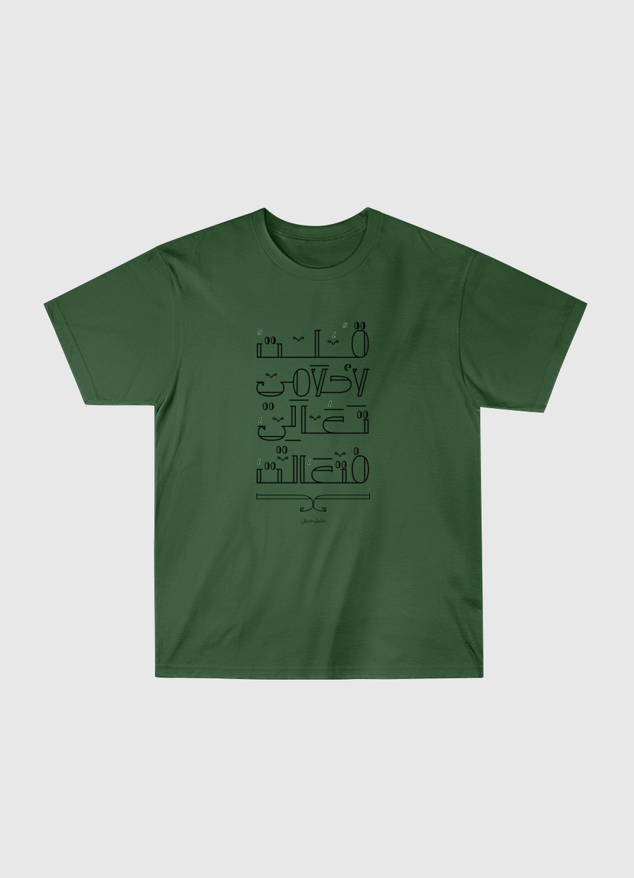 قلت لاحلامي تعالي فتعالت