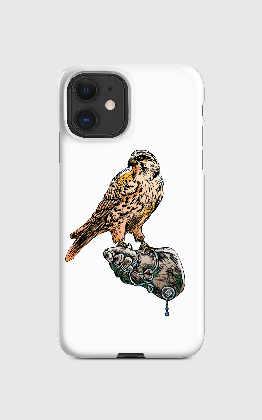 Arabian Falcon