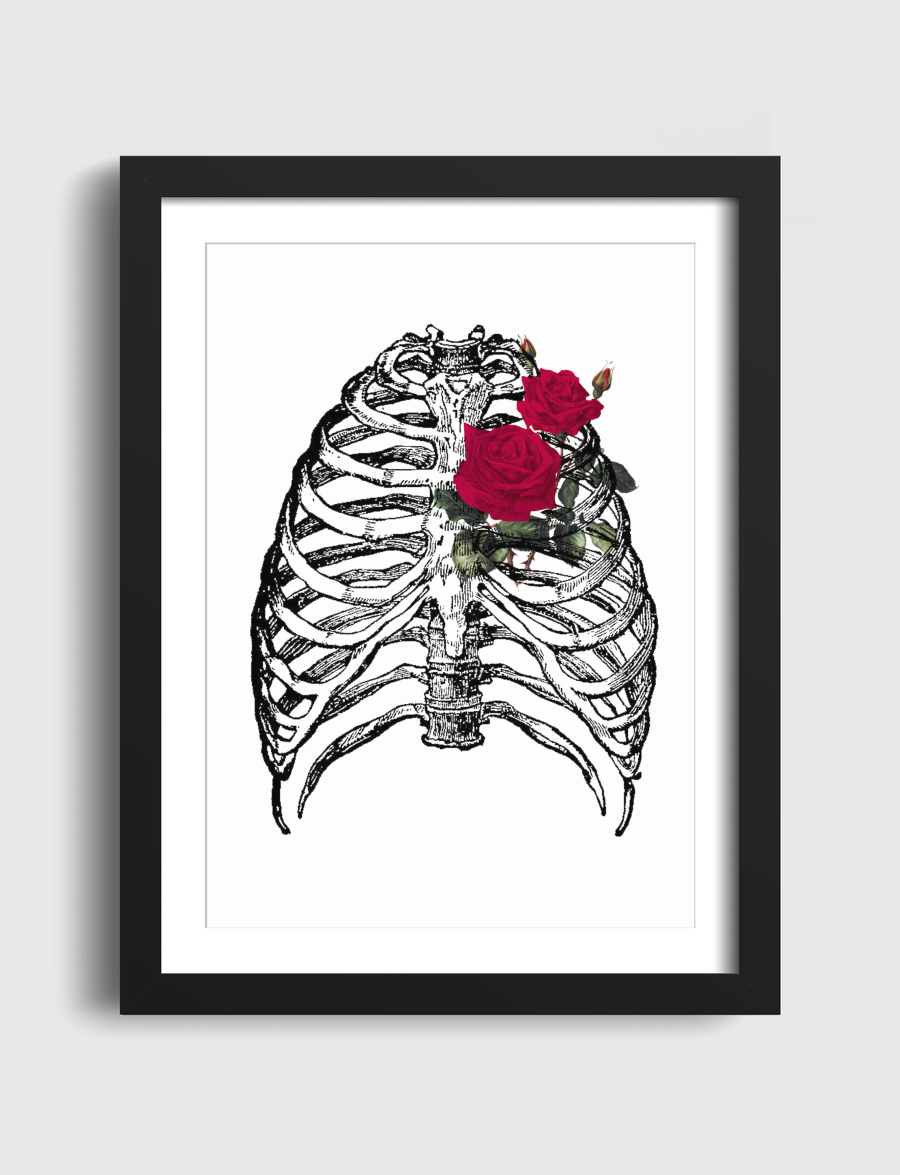 🌹 Rib cage 