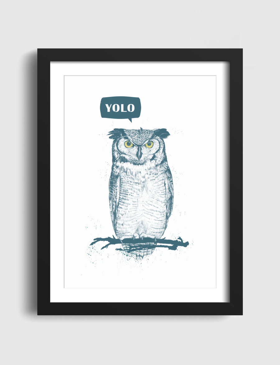 Yolo