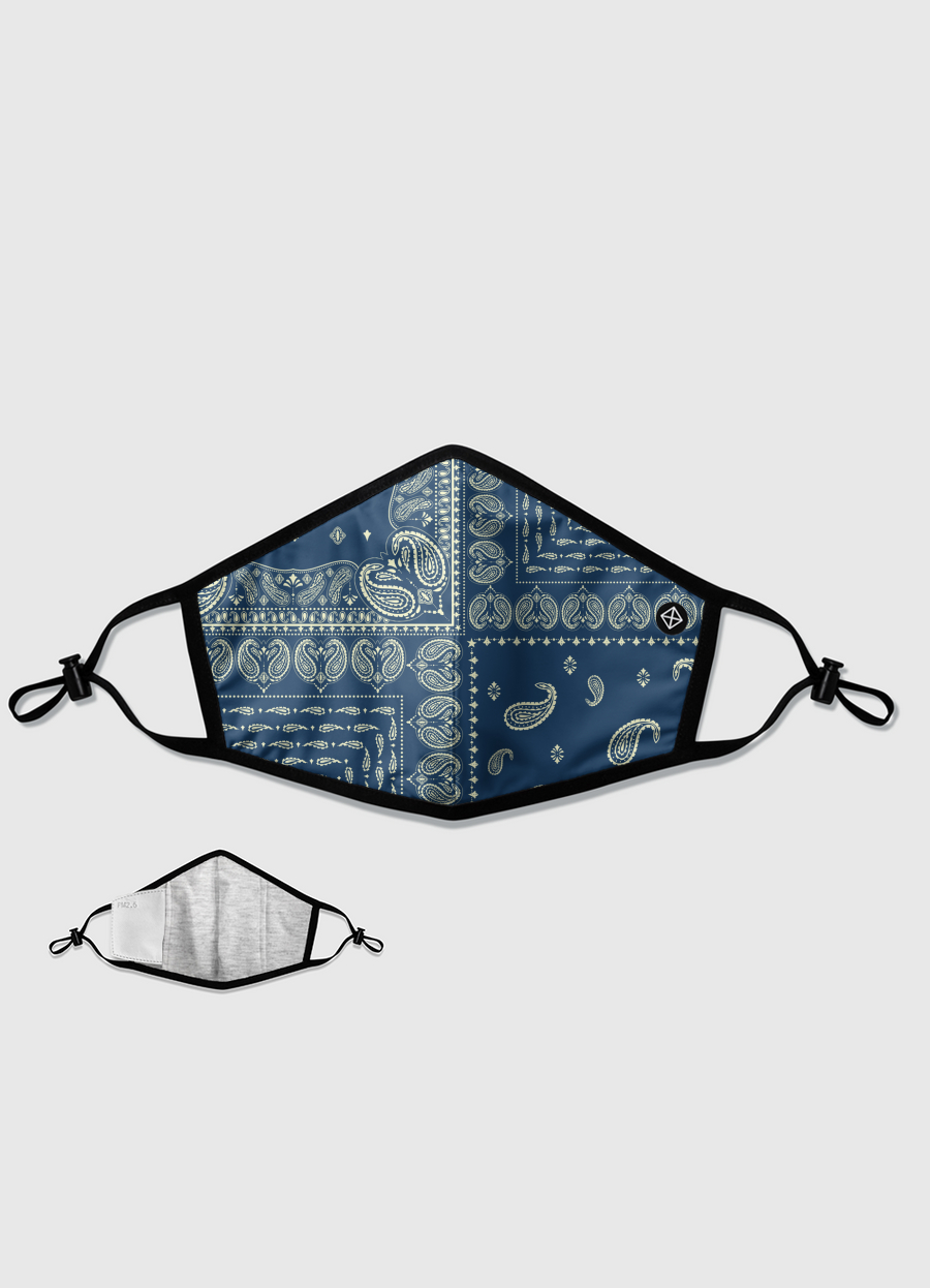 Paisley V2