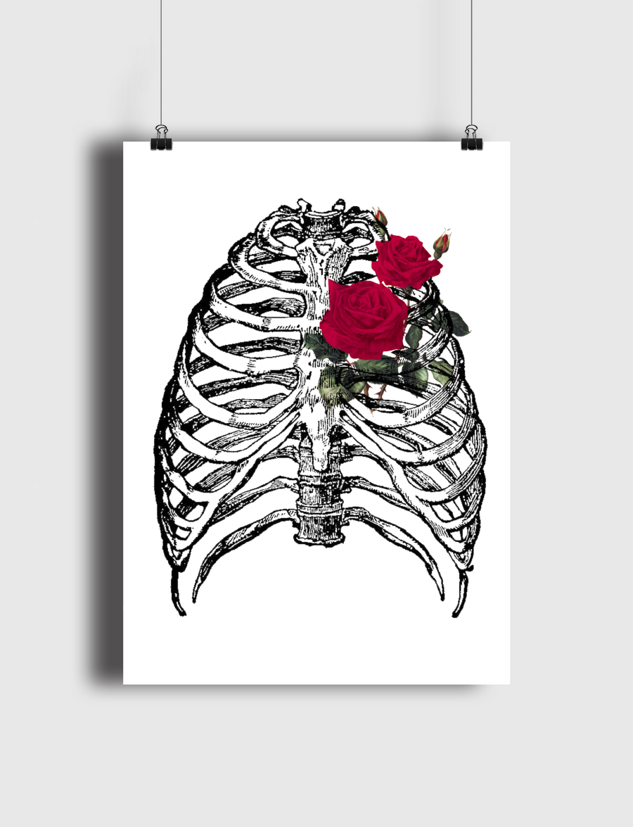 🌹 Rib cage 