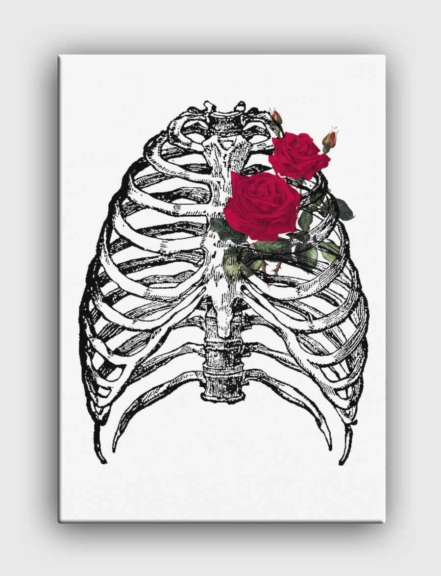 🌹 Rib cage 